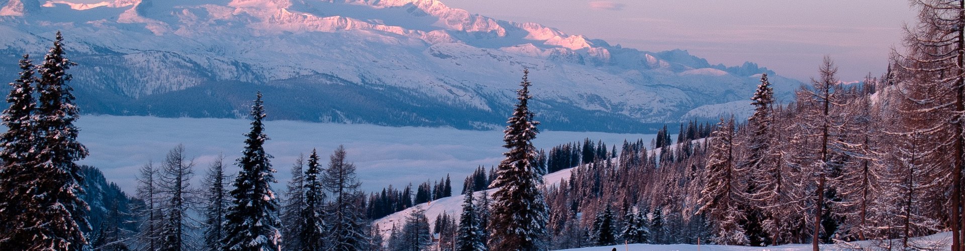 shutterstock_tauplitz_winter