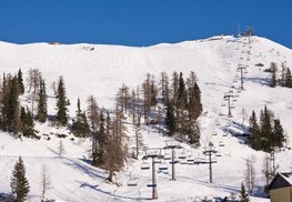 shutterstock_64537621